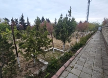 Goradil qes
