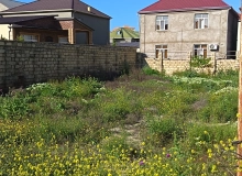Masazır