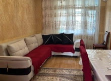 Mərdanov qardaşları