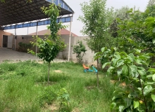 Masazır qəsəbəsi, Şahmar Ələkbərov küçəsi