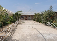 Türkan qəs. Şeyx Şamil 5