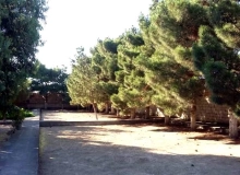 Şüvəlan