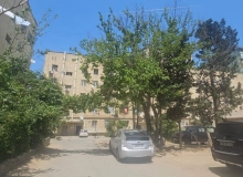 Badamdar