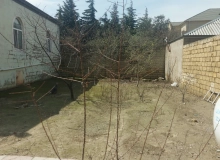 Masazır