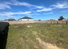 Alballıq Aida parka yaxın