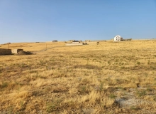 Novxanı, Nabat xanım Aşurbəyova küçəsi