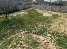 Buzovna