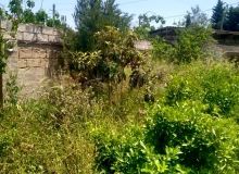 Buzovna
