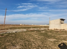 Sumqayıt. Yaşma bağları. Maarif BY 813