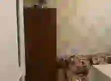 Şıxəli Qurbanov küçəsi