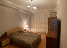 E. Qaryagdioglu kücsi