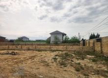 Novxanı