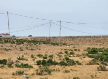 Masazır, Polad həşimov küçəsi