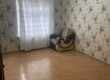 Yaşıl ada küç 1
