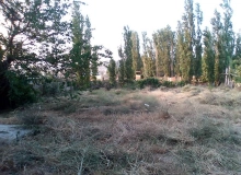 Quba, Alekseyevka kəndi