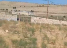 Novxanı