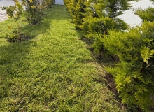 Buzovna