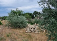 Buzovna