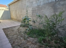 Şüvəlan