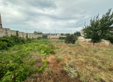 Saray qəsəbəsi