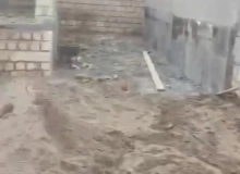 Novxanı qəsəbəsi
