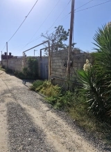 Suraxanı ray. Bahar qəs.