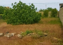 Buzovna qəsəbəsi