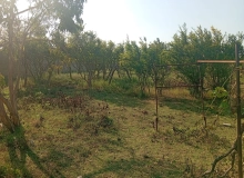 Pirşağı qəsəbəsi