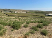 Mehdiabad qəsəbəsi