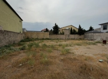 Şağan
