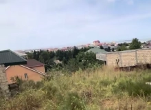 Novxanı