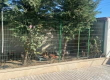Zabrat 1