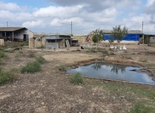 Buzovna