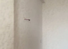 Sumqayıt şəhəri, Bəyaz Residencedə