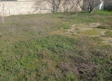 Mikayil Eliyev kucesi